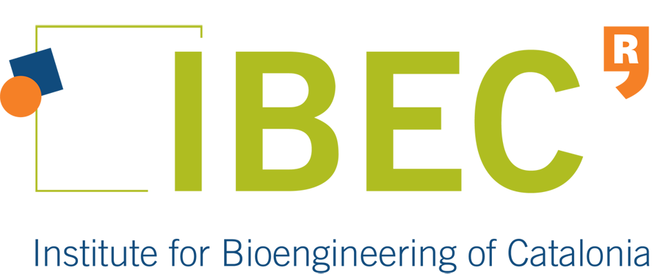 IBEC logo